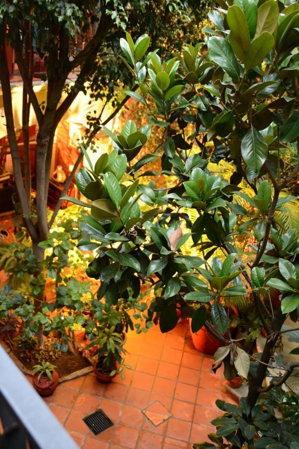 Hotel Casa Guiva Oaxaca Luaran gambar
