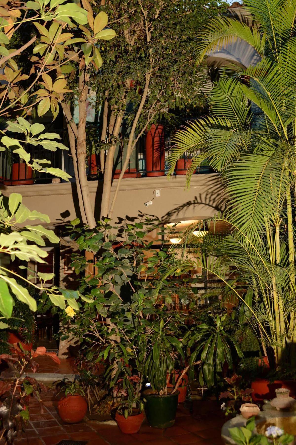 Hotel Casa Guiva Oaxaca Luaran gambar